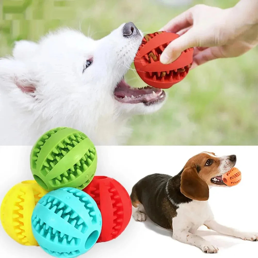 Treat-Dispensing Ball for Dogs